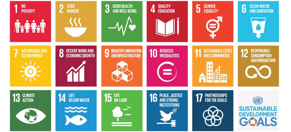 SDG poster